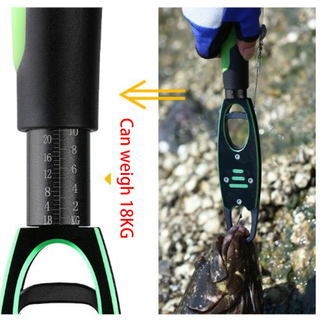TAKEDO Hot Sale BL-040 Weighab - Fishing Pliers ulasan dan harga